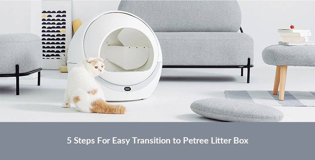 PETREE Automatic Cat Litter Box WIFI Model 2021 Smartpaw Pet Online Store